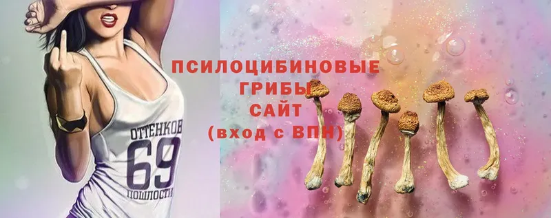 Псилоцибиновые грибы Magic Shrooms Дзержинский