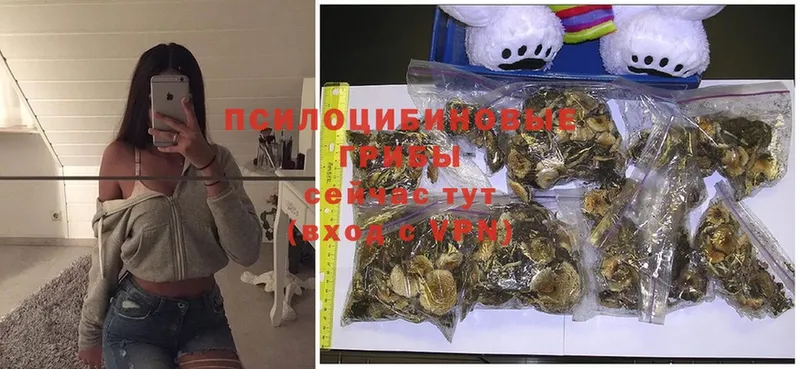 Псилоцибиновые грибы MAGIC MUSHROOMS  Дзержинский 